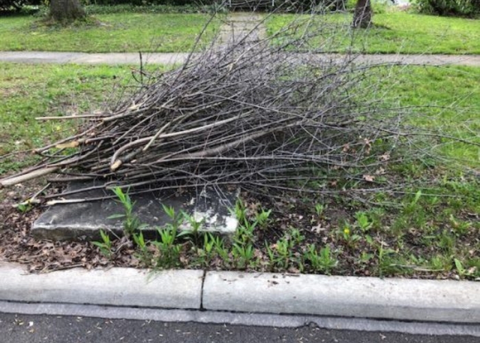 Yard Waste Removal