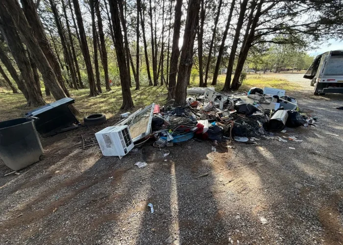 Storm Debris Cleanup
