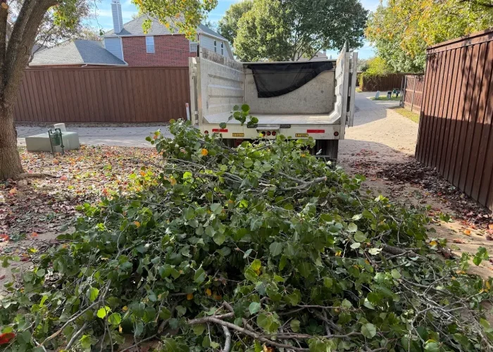 Yard Waste Removal